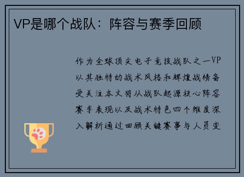 VP是哪个战队：阵容与赛季回顾
