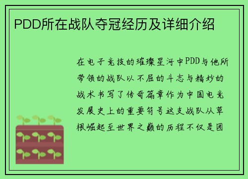 PDD所在战队夺冠经历及详细介绍